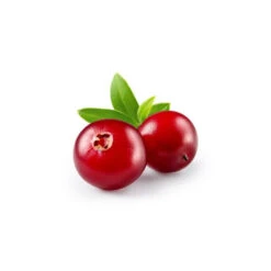 AIRELLE - Macérat De Bourgeons BIO -Aroma Nature Bien-Être airelle macerat de bourgeons bio 2