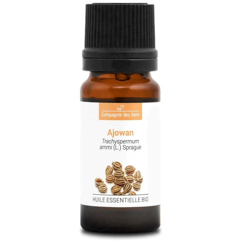 AJOWAN - Huile Essentielle BIO 2 AJOWAN - Huile Essentielle BIO – Image 2