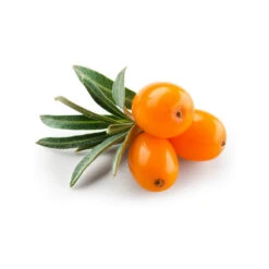 Argousier (pulpe) - Huile Végétale Vierge BIO - Flacon En Verre -Aroma Nature Bien-Être argousier pulpe huile vegetale bio 2