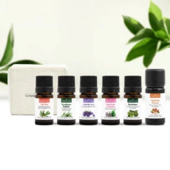 Indispensables Enfants Et Bébés - Extraits Naturels BIO + Trousse