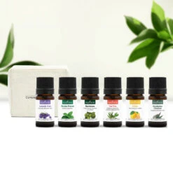 Indispensables Pour Débuter - Huiles Essentielles BIO + Trousse