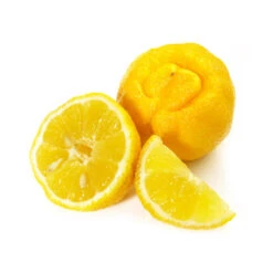 BERGAMOTE SANS BERGAPTÈNE - Huile Essentielle BIO 6 BERGAMOTE SANS BERGAPTÈNE - Huile Essentielle BIO -Aroma Nature Bien-Être bergamote sans bergaptene huile essentielle bio 2