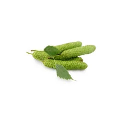 BOULEAU PUBESCENT - Macérat De Bourgeons BIO -Aroma Nature Bien-Être bouleau pubescent macerat de bourgeons bio 2