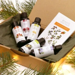 La Box Découverte Des Huiles Végétales 9 La Box Découverte Des Huiles Végétales -Aroma Nature Bien-Être box decouverte des huiles vegetales 2