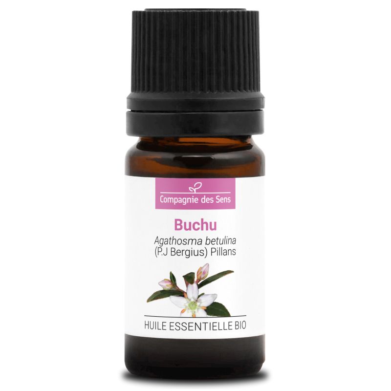 Aroma Nature Bien-Être -Aroma Nature Bien-Être buchu huile essentielle bio 3