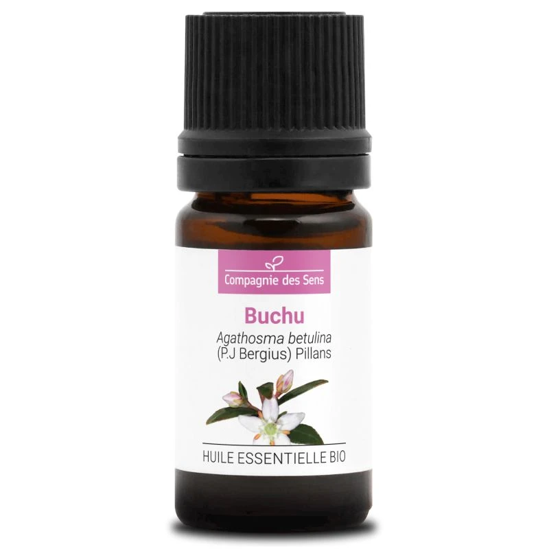 BUCHU - Huile Essentielle BIO 1 BUCHU - Huile Essentielle BIO