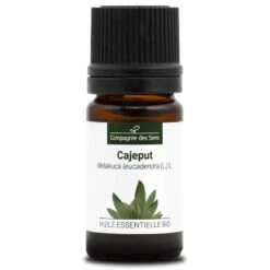 CAJEPUT - Huile Essentielle BIO