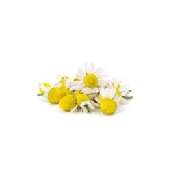 CAMOMILLE MATRICAIRE - Huile Essentielle BIO -Aroma Nature Bien-Être camomille matricaire huile essentielle bio 3