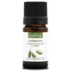 CARDAMOME - Huile Essentielle BIO