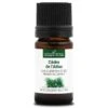 CÈDRE DE L'ATLAS - Huile Essentielle BIO