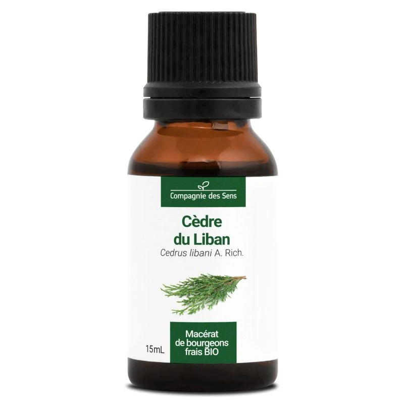 CÈDRE DU LIBAN - Macérat De Bourgeons BIO 1 CÈDRE DU LIBAN - Macérat De Bourgeons BIO