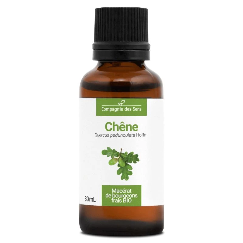 CHÊNE - Macérat De Bourgeons BIO 2 CHÊNE - Macérat De Bourgeons BIO – Image 2