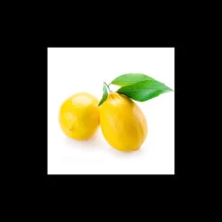 CITRONNIER - Macérat De Bourgeons BIO -Aroma Nature Bien-Être citronnier macerat de bourgeons bio 2