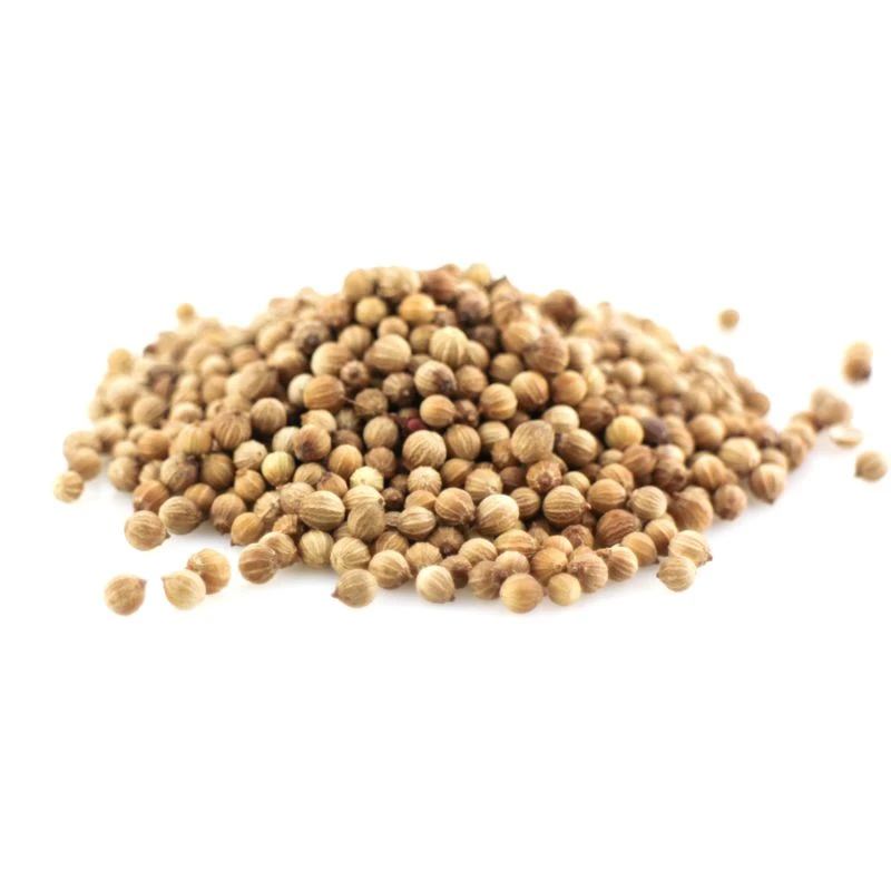 Coriandre BIO - Graines Entières 2 Coriandre BIO - Graines Entières – Image 2