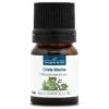 CRISTE MARINE - Huile Essentielle BIO