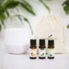 Diffuseur Rosae + 3 Huiles Essentielles BIO - Pack Découverte