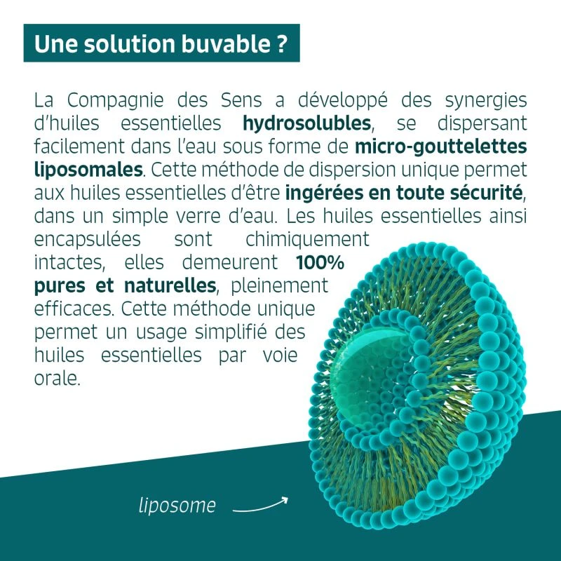 DIGESTION - Huiles Essentielles En Solution Buvable 5 DIGESTION - Huiles Essentielles En Solution Buvable – Image 5