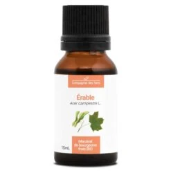 ÉRABLE - Macérat De Bourgeons BIO