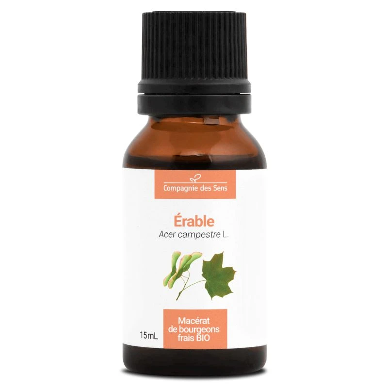 ÉRABLE - Macérat De Bourgeons BIO 1 ÉRABLE - Macérat De Bourgeons BIO