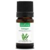 ESTRAGON - Huile Essentielle BIO