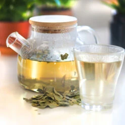 Eucalyptus BIO - Plante En Vrac Pour Décoction -Aroma Nature Bien-Être eucalyptus bio en vrac 2