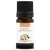 GINGEMBRE - Huile Essentielle BIO
