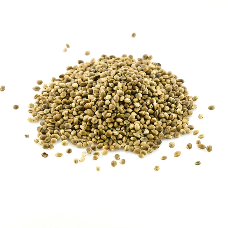 Graines De Chanvre De Bretagne BIO (complètes, Séchées) - Riche En Oméga-3 2 Graines De Chanvre De Bretagne BIO (complètes, Séchées) - Riche En Oméga-3 – Image 2