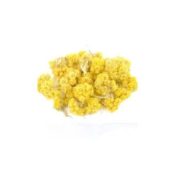 HÉLICHRYSE DE MADAGASCAR - Huile Essentielle BIO 6 HÉLICHRYSE DE MADAGASCAR - Huile Essentielle BIO -Aroma Nature Bien-Être helichryse de madagascar huile essentielle bio 2