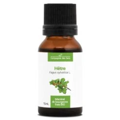 HÊTRE - Macérat De Bourgeons BIO