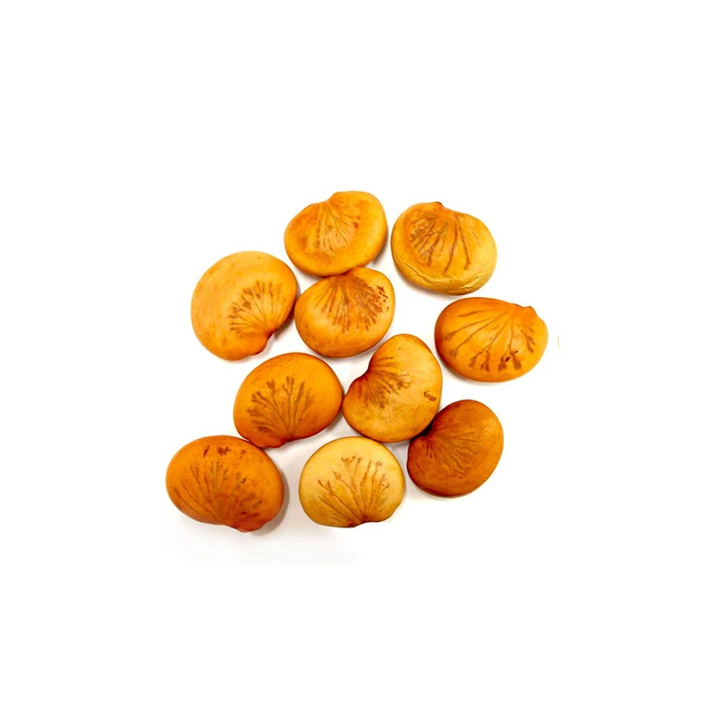 Karanja - Huile Végétale Vierge BIO - Flacon En Verre 2 Karanja - Huile Végétale Vierge BIO - Flacon En Verre – Image 2