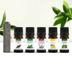 Indispensables Au Travail - Huiles Essentielles BIO + Inhalateur