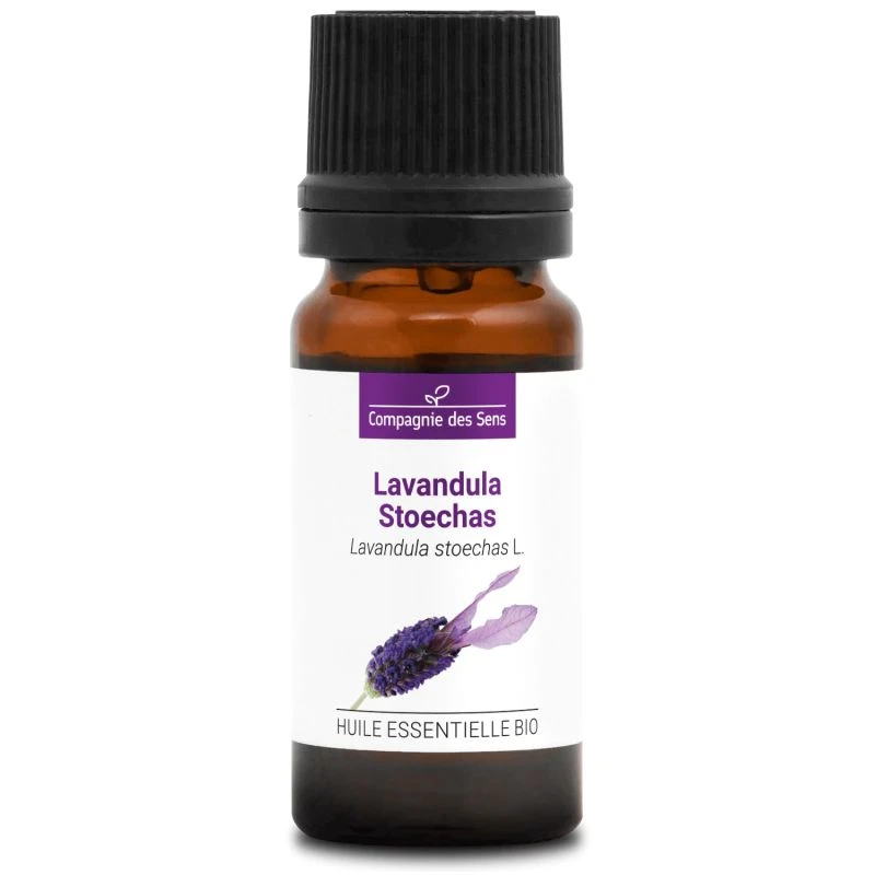 LAVANDULA STOECHAS - Huile Essentielle BIO 2 LAVANDULA STOECHAS - Huile Essentielle BIO – Image 2