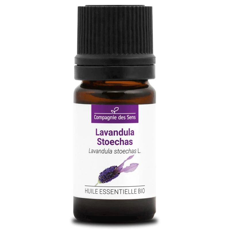 LAVANDULA STOECHAS - Huile Essentielle BIO 1 LAVANDULA STOECHAS - Huile Essentielle BIO