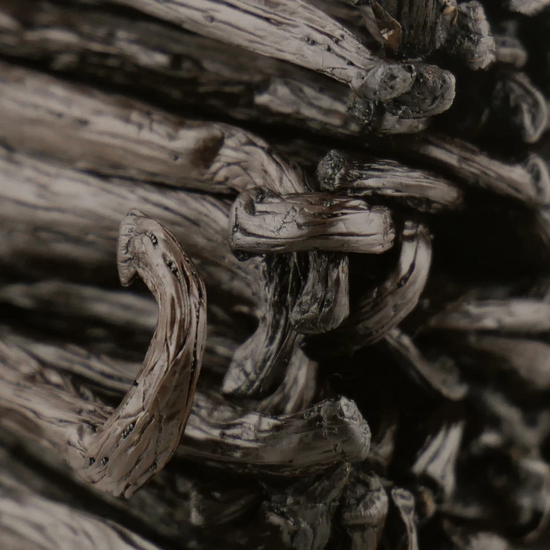 Livre Les Épices + Vanille BIO - Pack Découverte 2 Livre Les Épices + Vanille BIO - Pack Découverte – Image 2