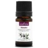 MANUKA - Huile Essentielle BIO