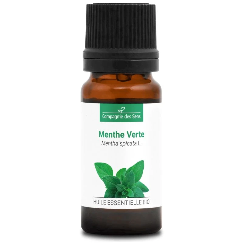 MENTHE VERTE - Huile Essentielle BIO 2 MENTHE VERTE - Huile Essentielle BIO – Image 2