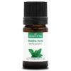 MENTHE VERTE - Huile Essentielle BIO