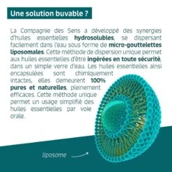 NERVOSITÉ - Huiles Essentielles En Solution Buvable -Aroma Nature Bien-Être nervosite huiles essentielles en solution buvable 4