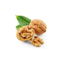 NOYER - Macérat De Bourgeons BIO 6 NOYER - Macérat De Bourgeons BIO -Aroma Nature Bien-Être noyer macerat de bourgeons bio 2