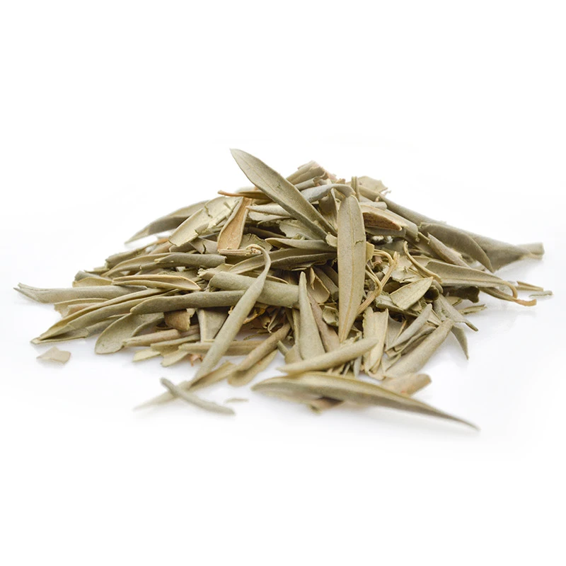 Olivier BIO - Plante En Vrac Pour Infusion 2 Olivier BIO - Plante En Vrac Pour Infusion – Image 2