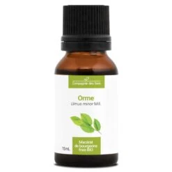 ORME - Macérat De Bourgeons BIO