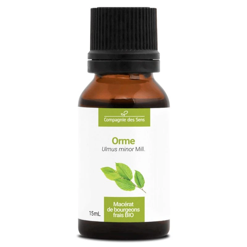 ORME - Macérat De Bourgeons BIO 1 ORME - Macérat De Bourgeons BIO