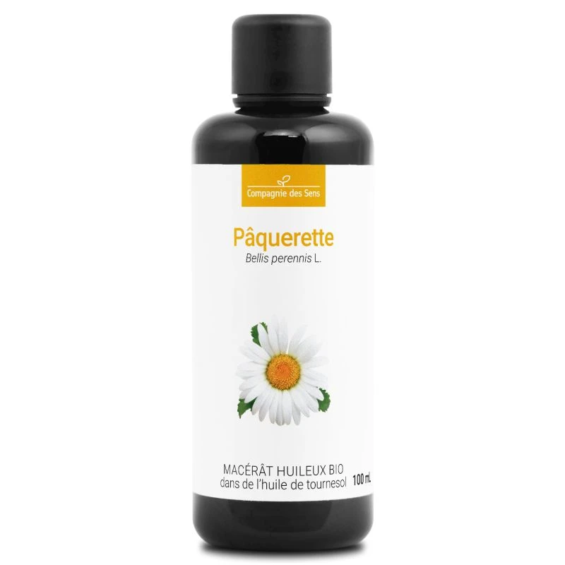 Pâquerette - Macérât Huileux BIO - Flacon En Verre 2 Pâquerette - Macérât Huileux BIO - Flacon En Verre – Image 2