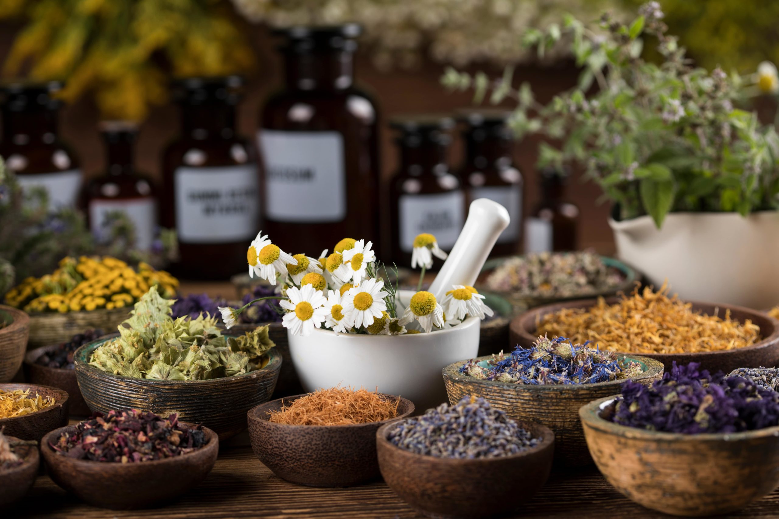 Aroma Nature Bien-Être -Aroma Nature Bien-Être phytotherapie scaled 1