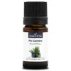 PIN CEMBRO - Huile Essentielle BIO