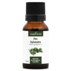 PIN SYLVESTRE - Macérat De Bourgeons BIO