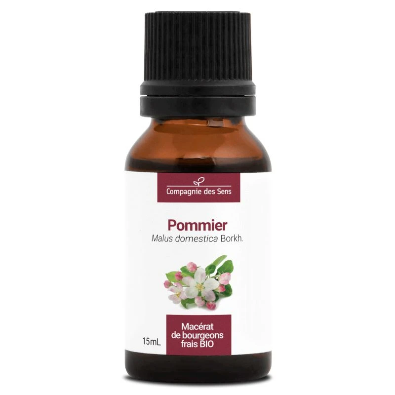 POMMIER - Macérat De Bourgeons BIO 1 POMMIER - Macérat De Bourgeons BIO
