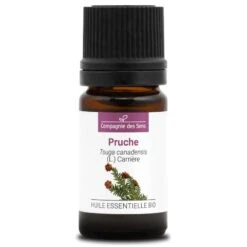 PRUCHE - Huile Essentielle BIO