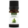 RAVENSARE - Huile Essentielle BIO