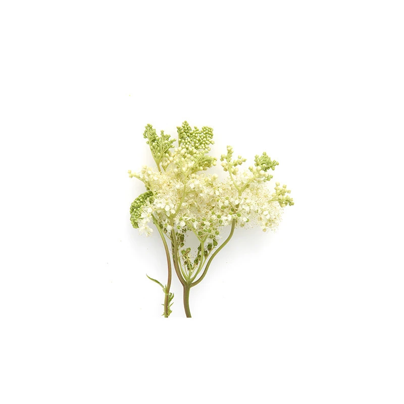 Reine Des Prés - Macérât Huileux BIO - Flacon En Verre 4 Reine Des Prés - Macérât Huileux BIO - Flacon En Verre – Image 4